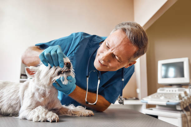 Best Emergency Tooth Extraction in Parkersburg, WV