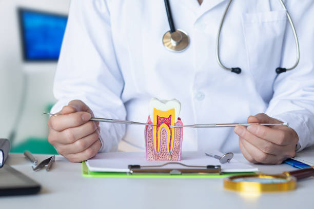 Best Emergency Tooth Extraction in Parkersburg, WV